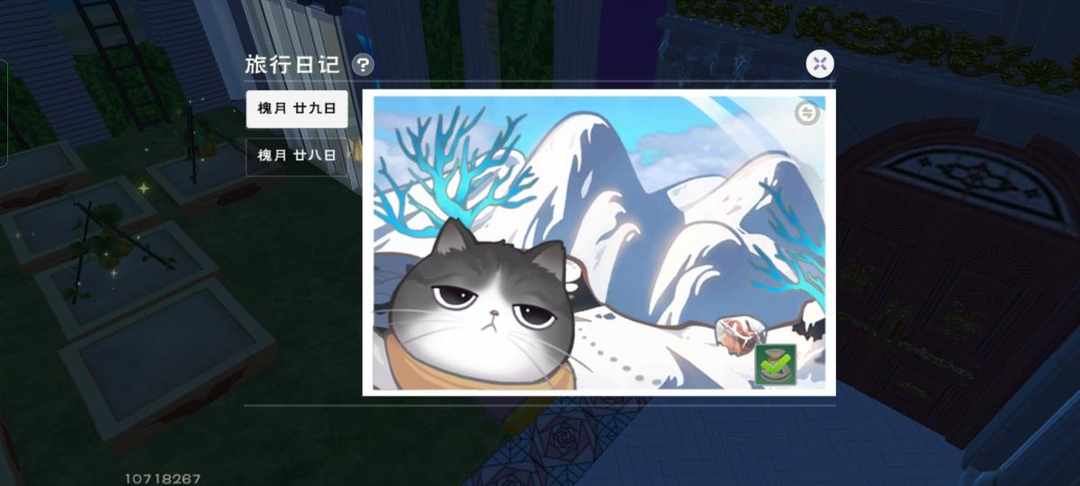 [图片]