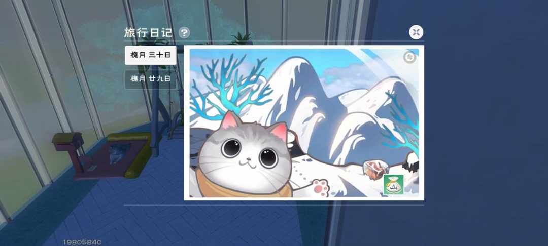 [图片]
