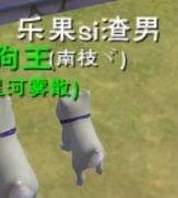 [图片]