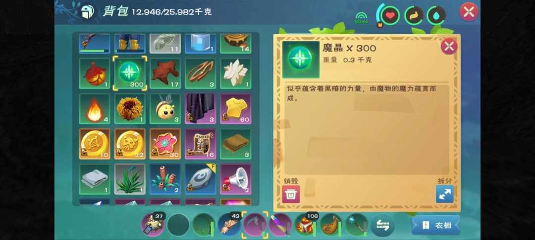 [图片]