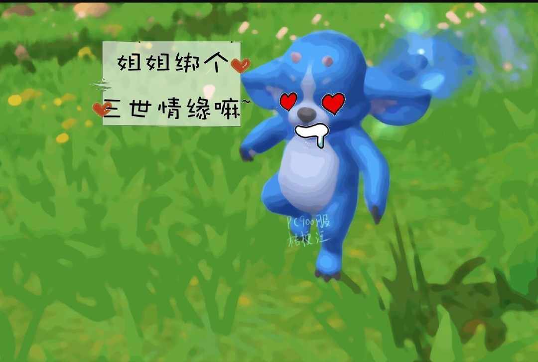 [图片]