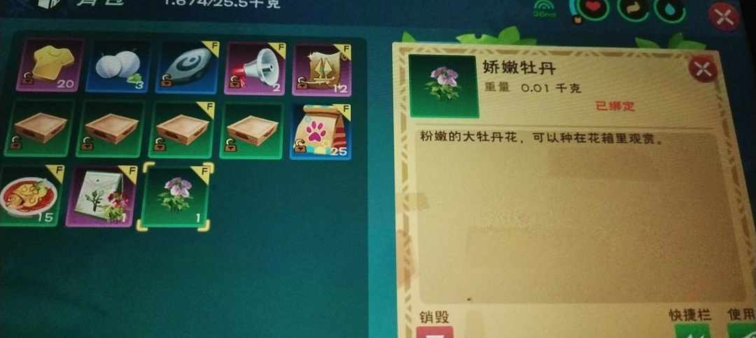 [图片]