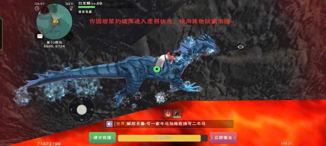[图片]