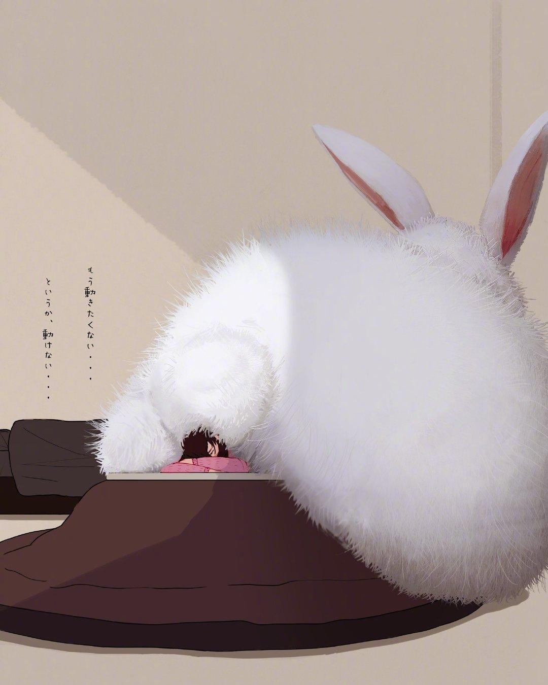 [图片]
