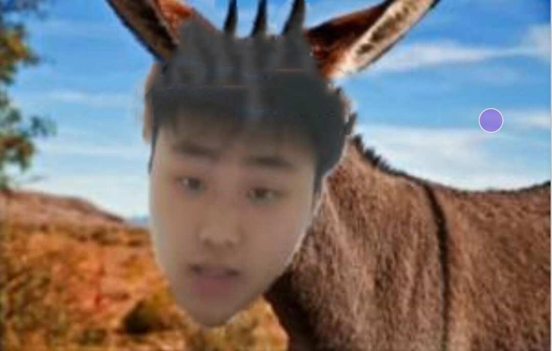 [图片]