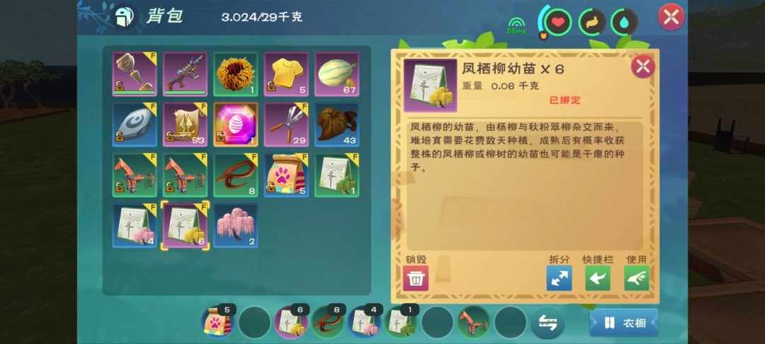 [图片]