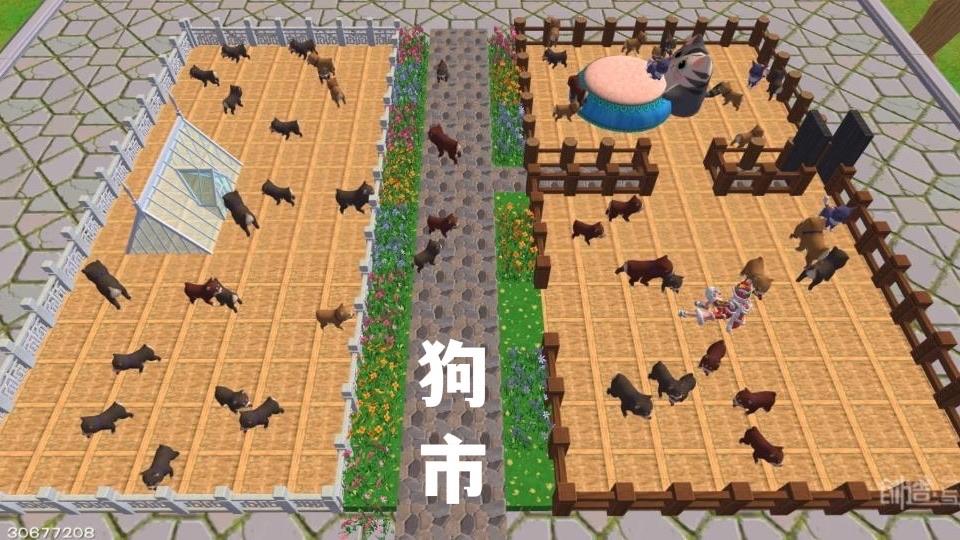 [图片]