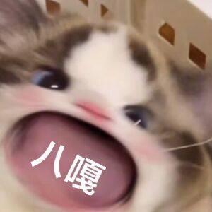 [图片]
