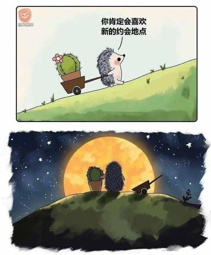 [图片]