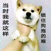[图片]