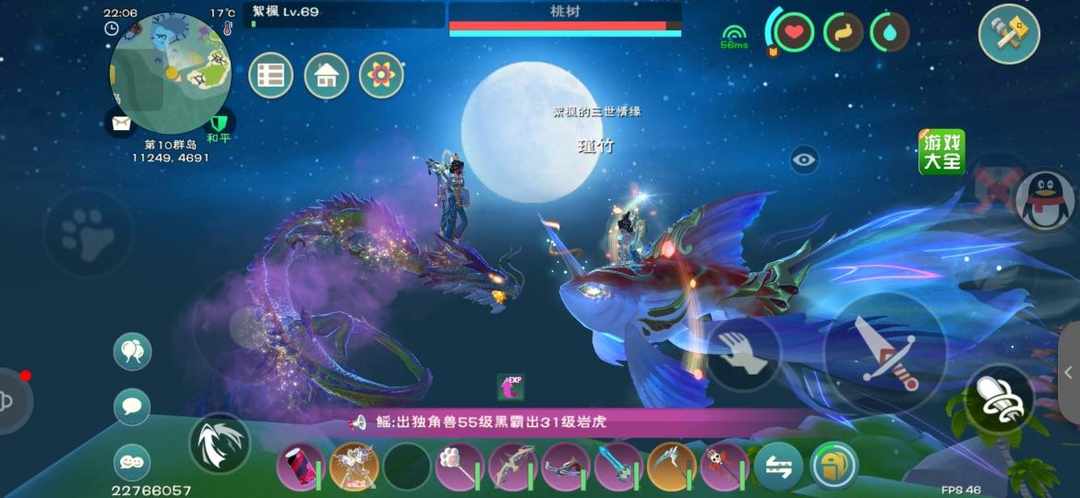 [图片]