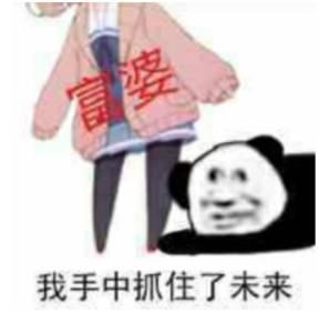[图片]