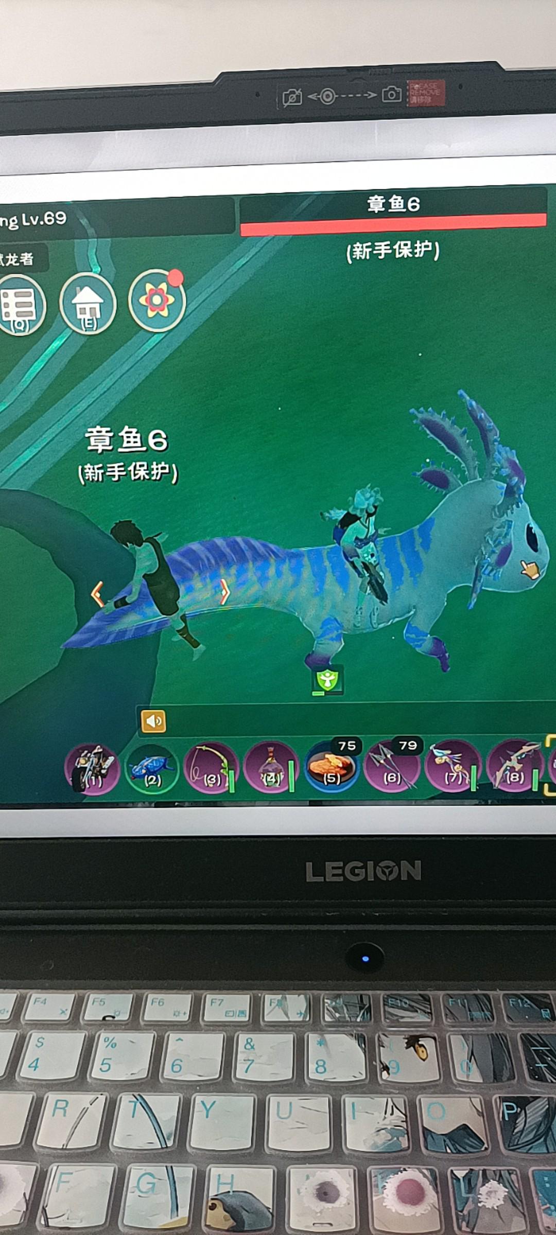 [图片]