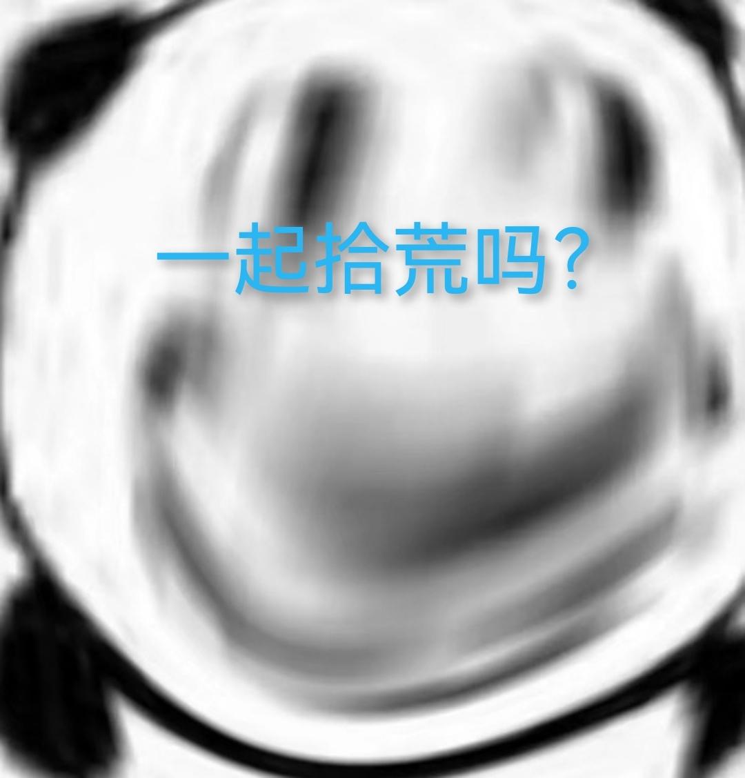 [图片]