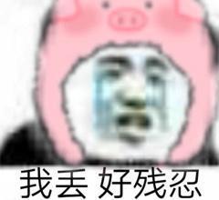 [图片]