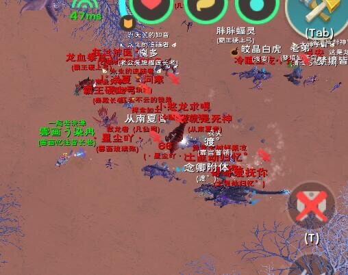 [图片]