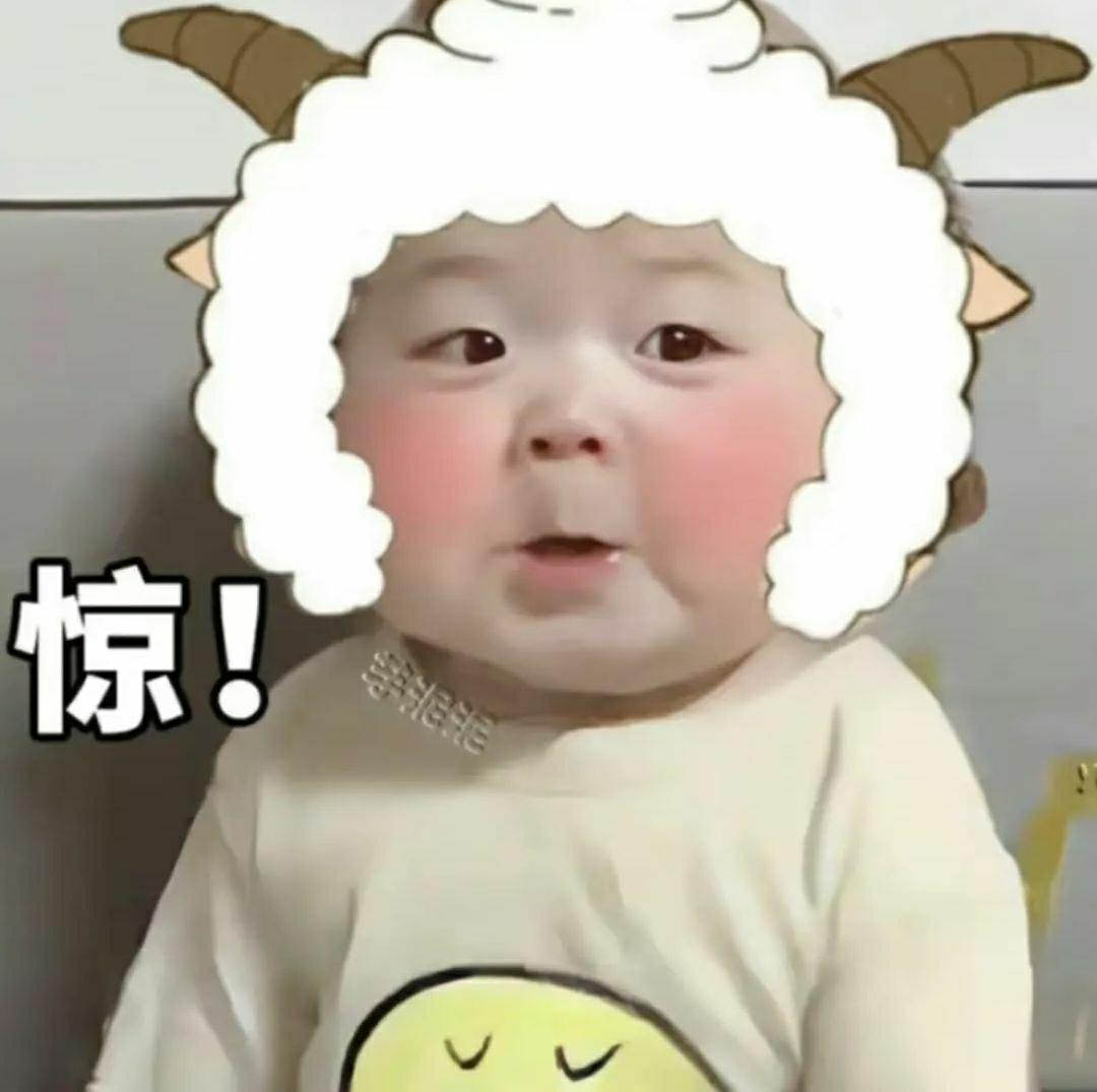 [图片]