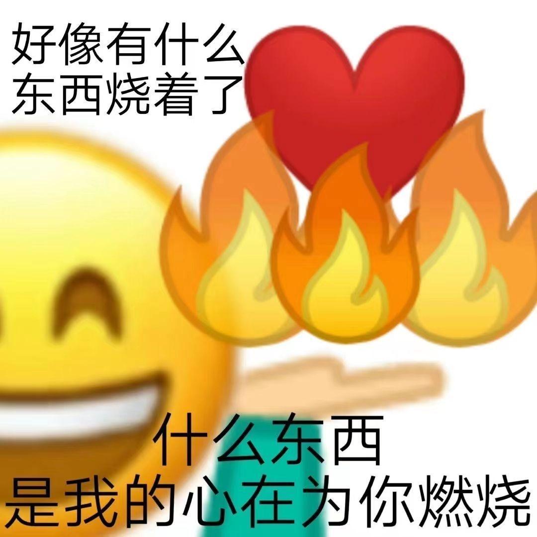 [图片]