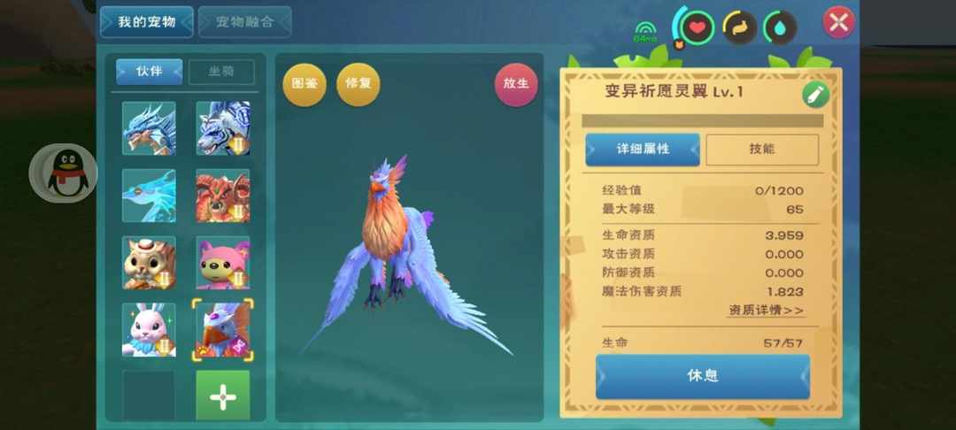 [图片]
