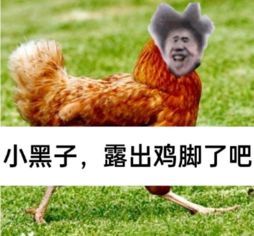[图片]