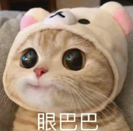 [图片]