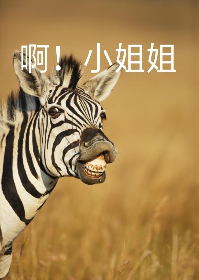 [图片]