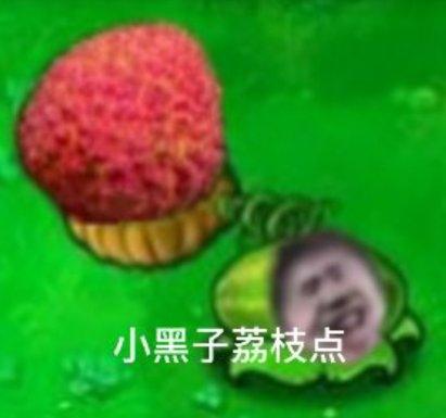 [图片]