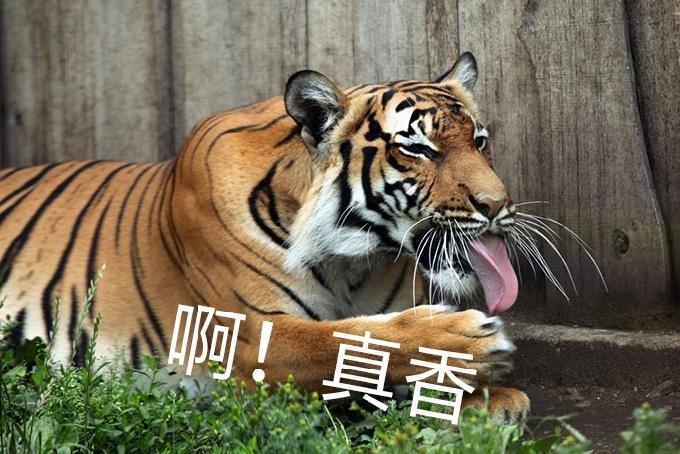 [图片]
