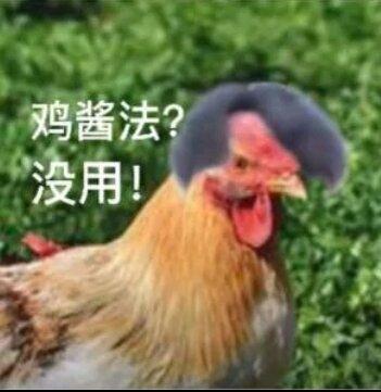 [图片]