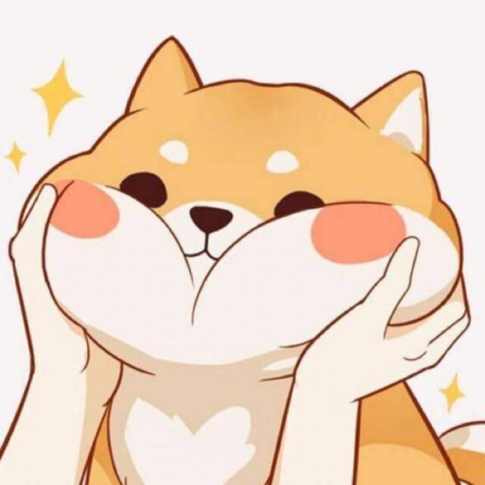 [图片]