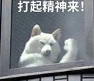 [图片]