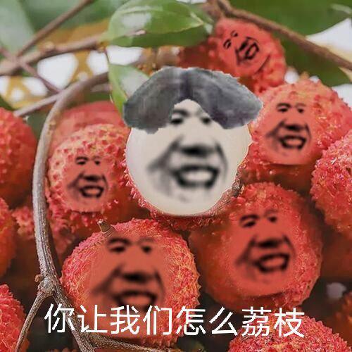 [图片]
