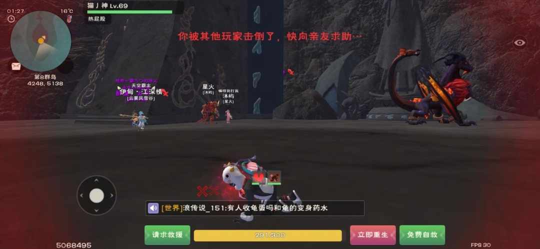 [图片]
