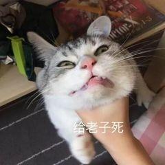 [图片]