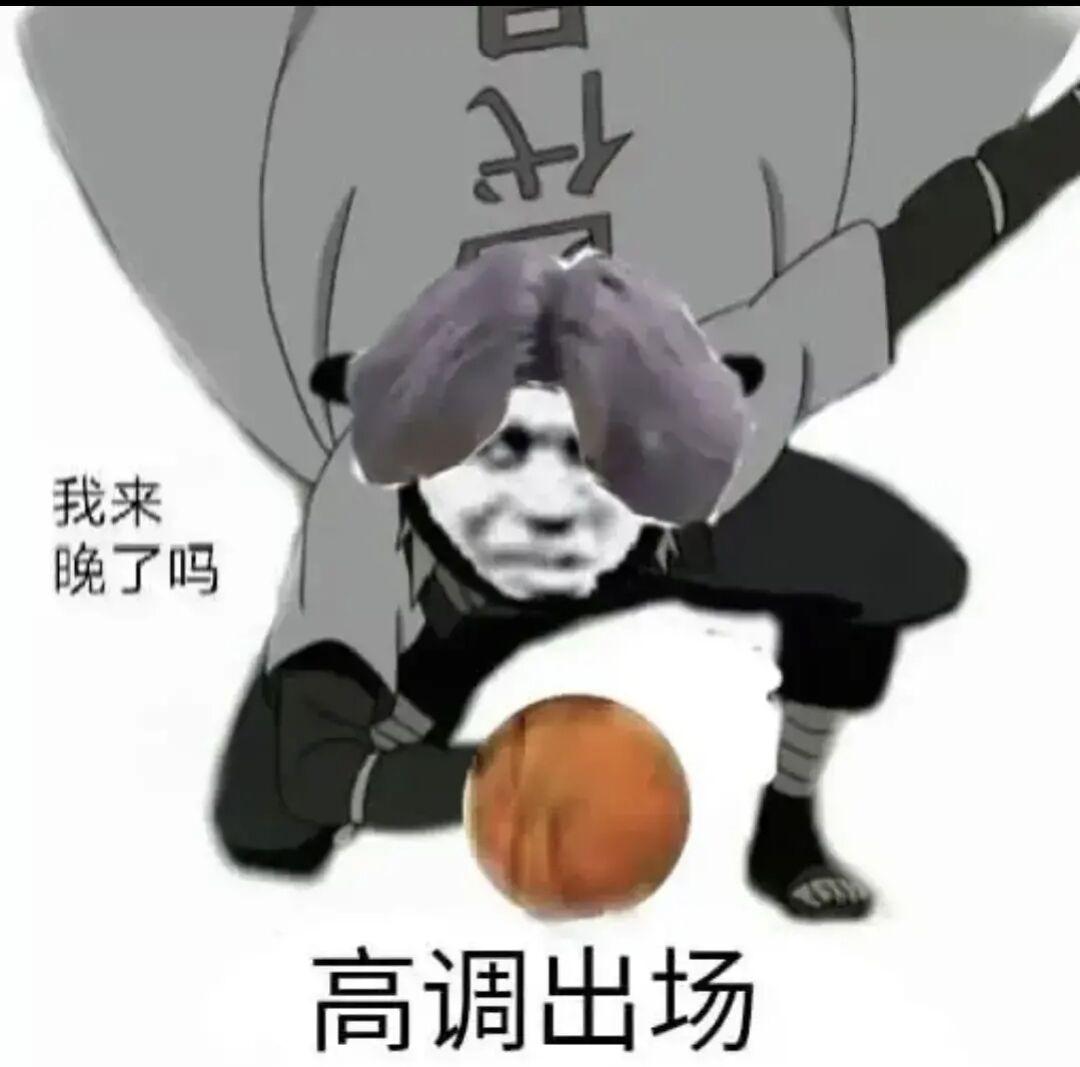 [图片]