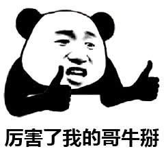 [图片]
