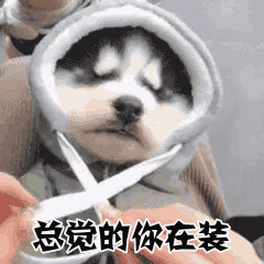 [图片]