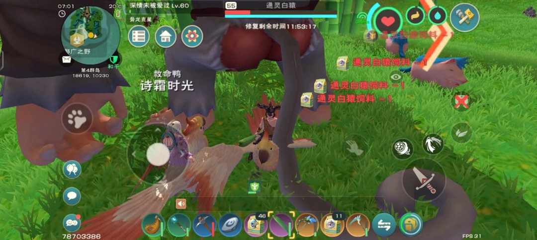 [图片]