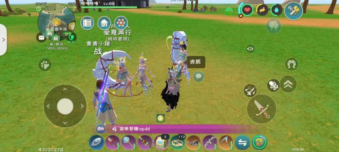 [图片]