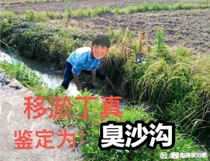 [图片]