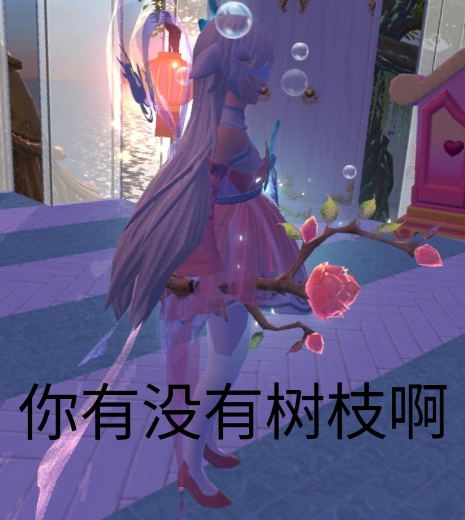 [图片]