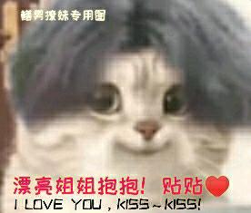 [图片]