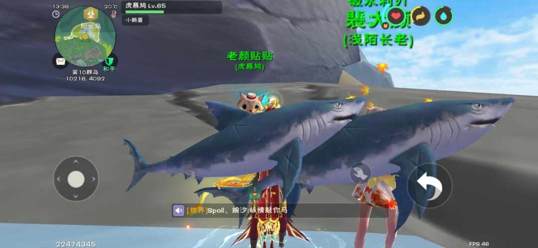 [图片]