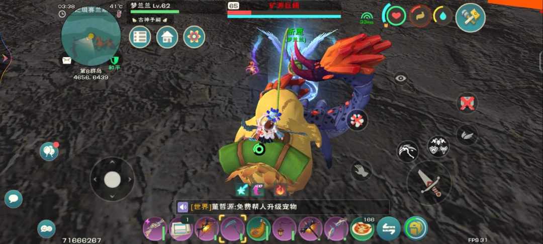 [图片]