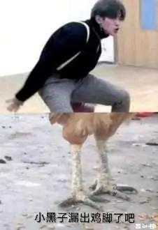 [图片]