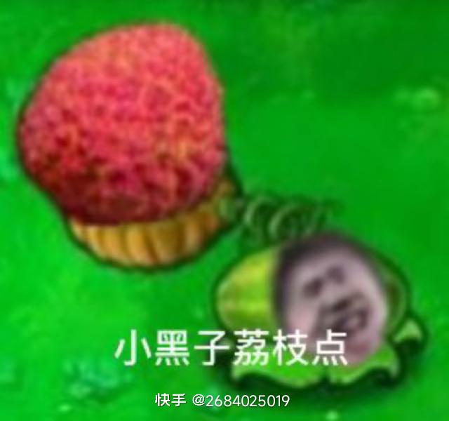 [图片]