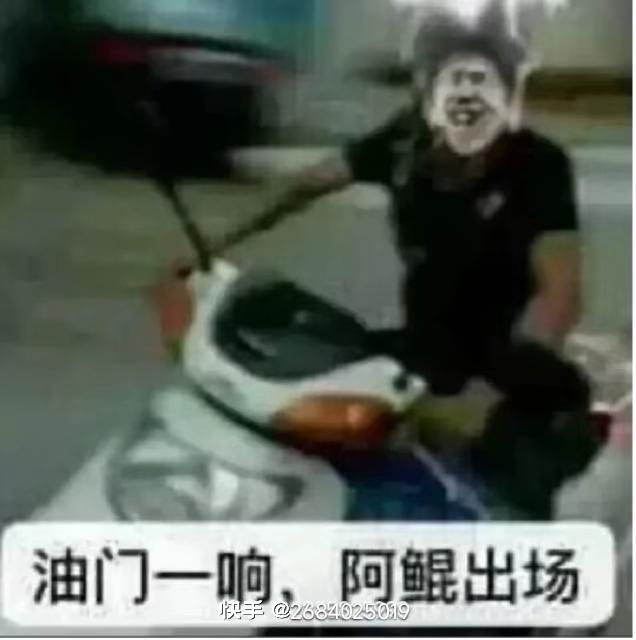 [图片]
