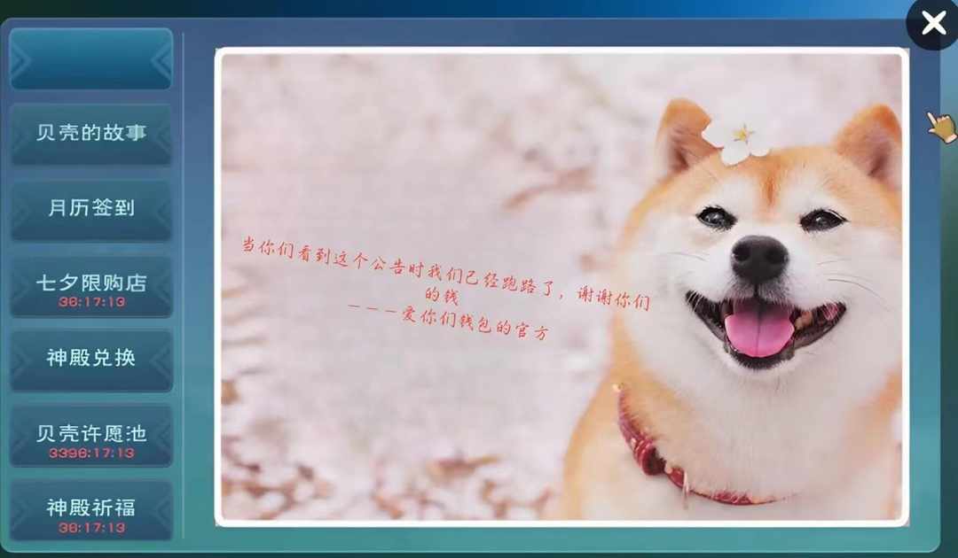[图片]
