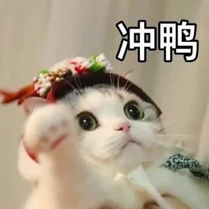[图片]