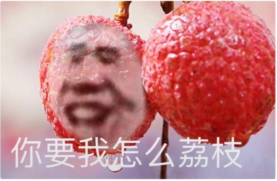 [图片]